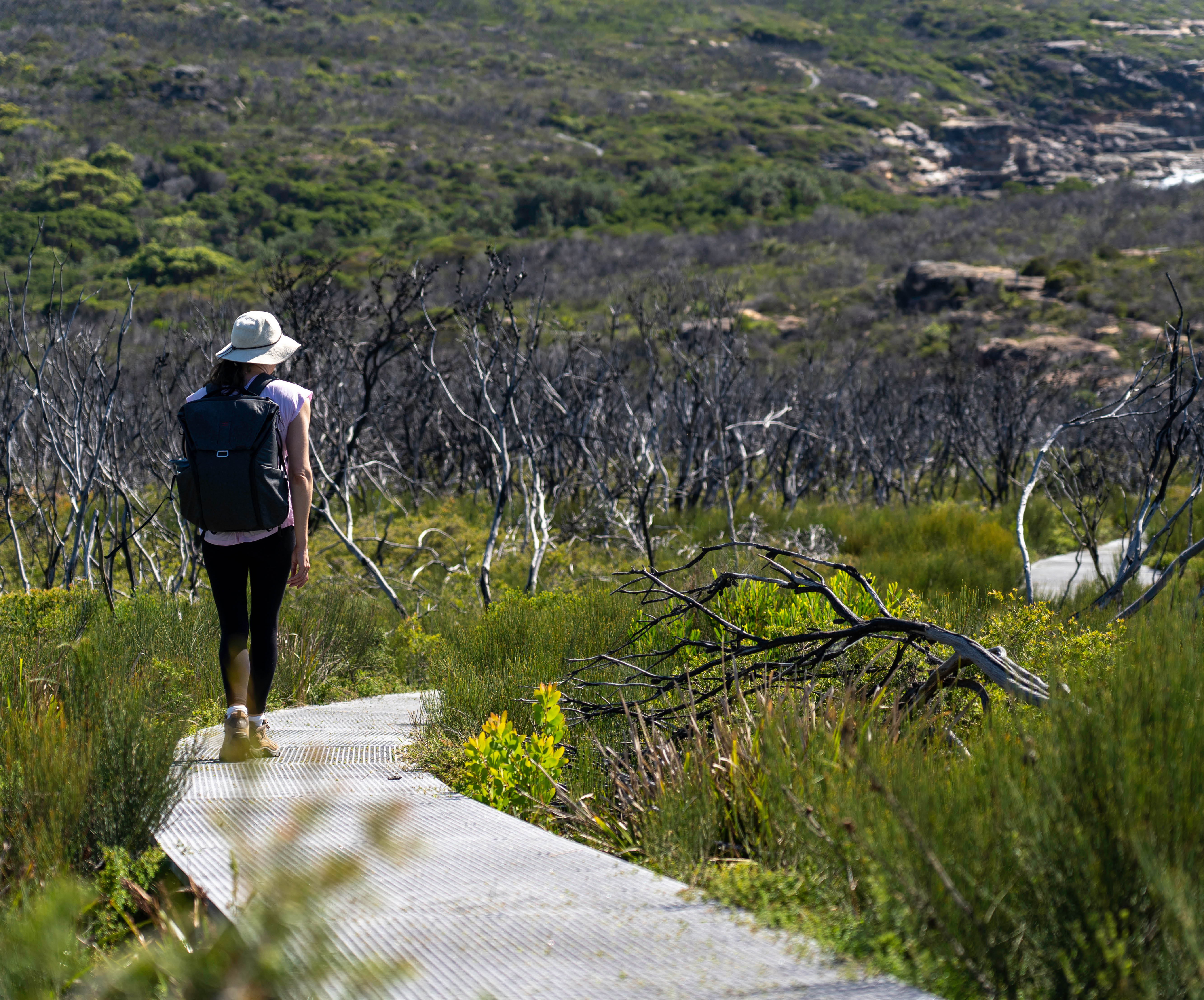 woman bushwalking in national park