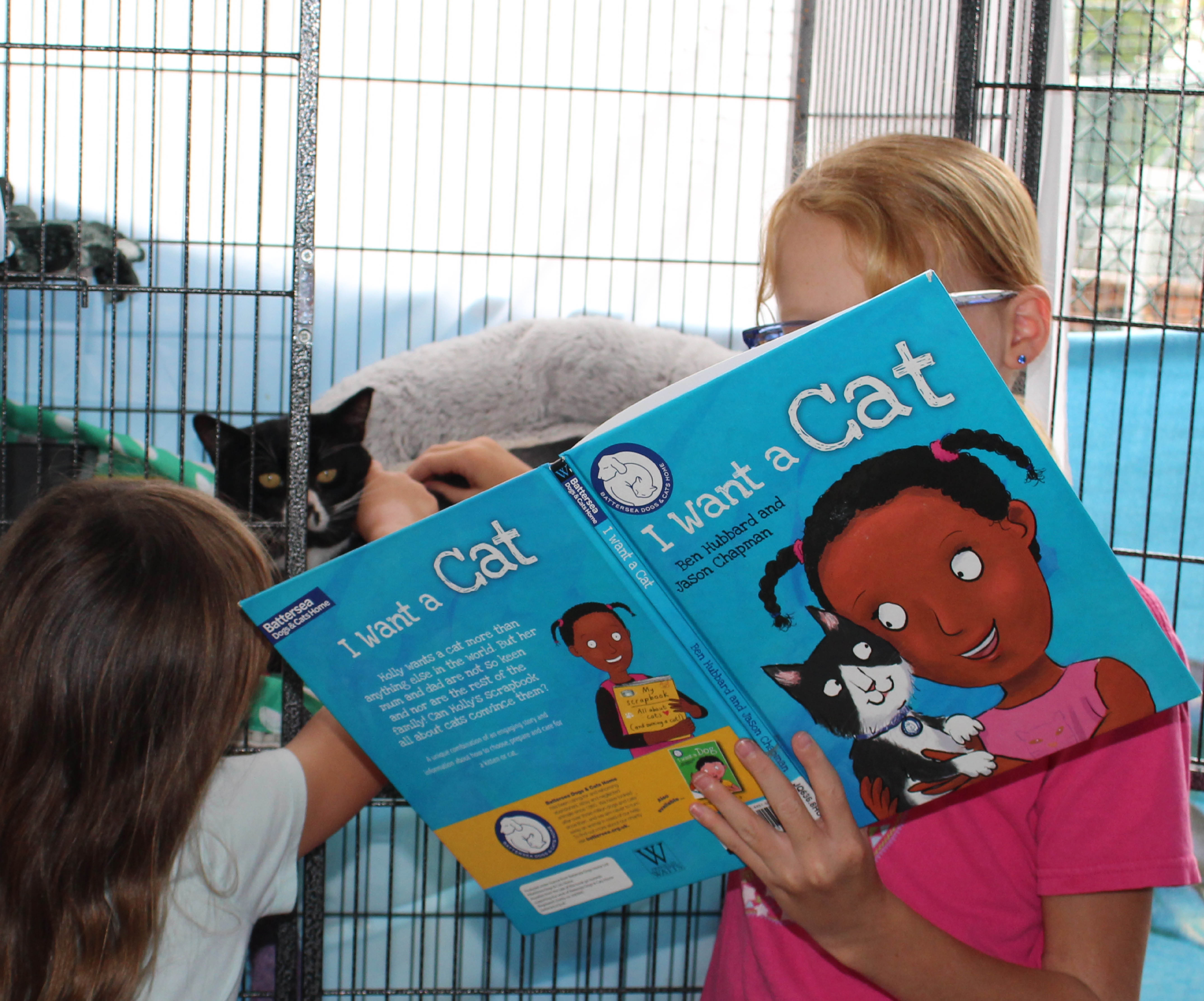 Children read a picture book to a relaxing cat