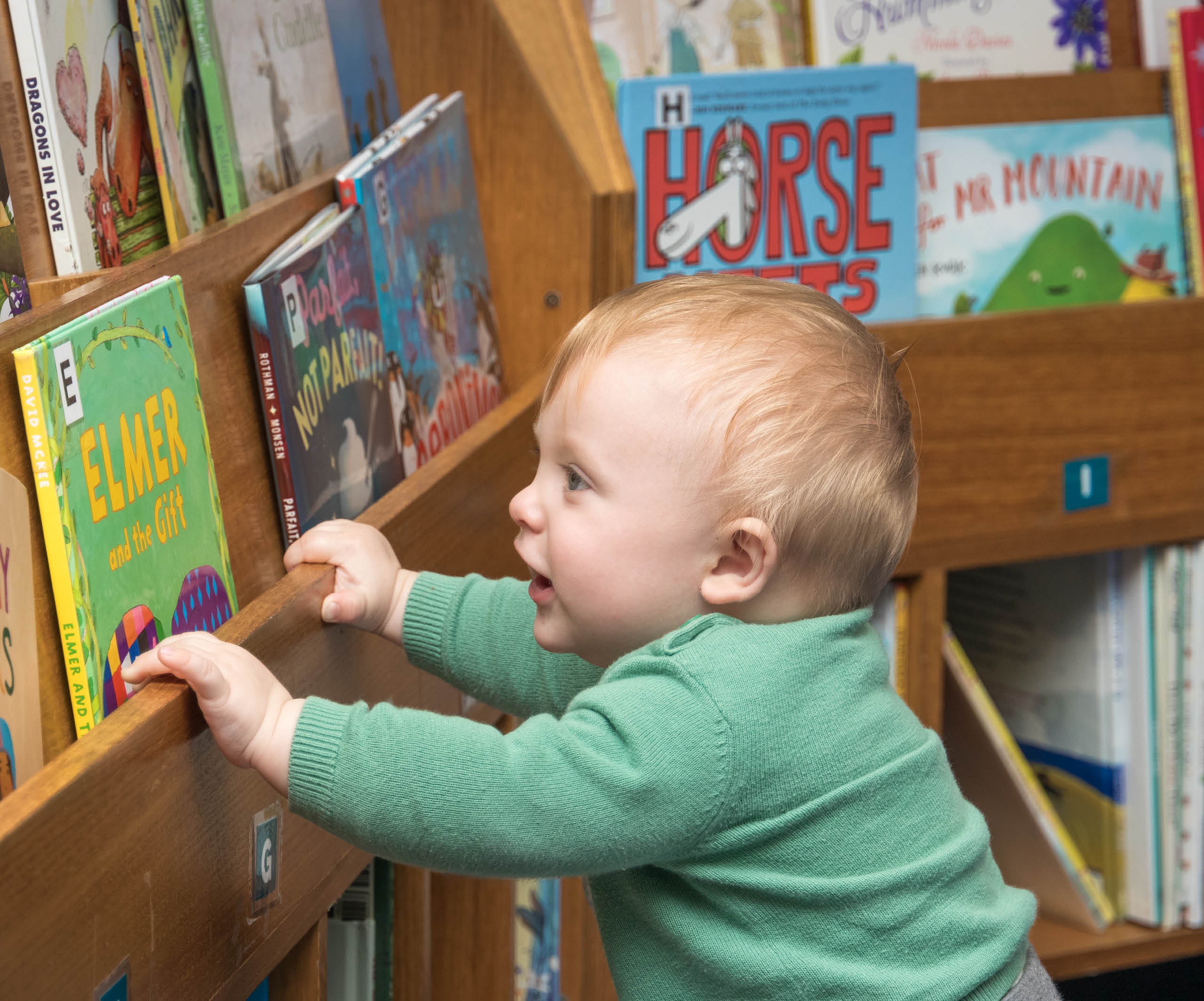 Toddler boy standing at picture books Engadine library